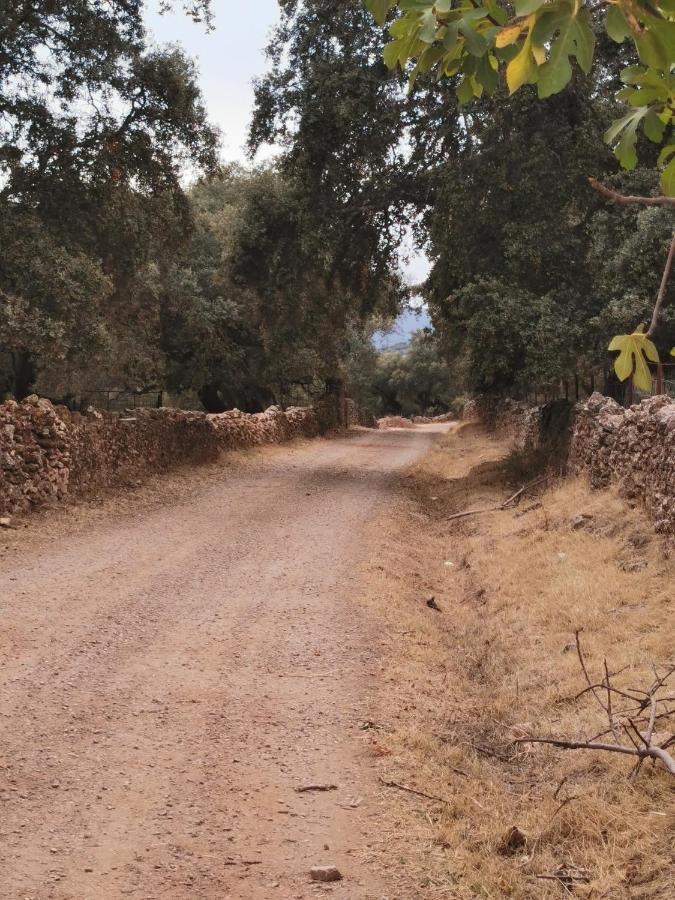 Casa Rural Canaveral De Leon Екстер'єр фото